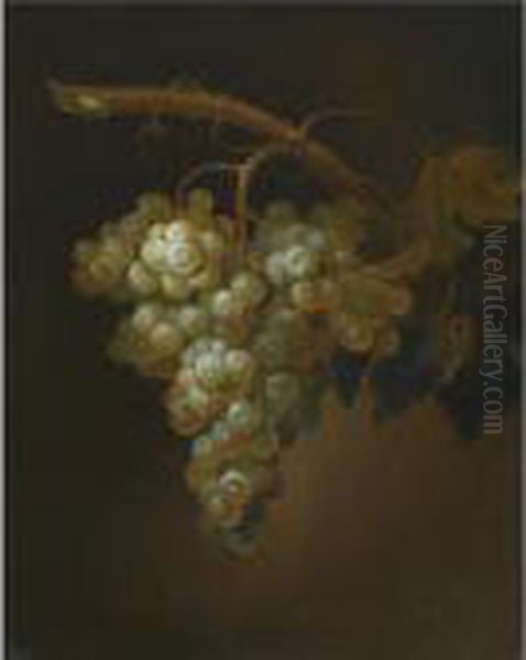 Still Life With A Bunch Of Grapes On A Vine Oil Painting by Simon Pietersz. Verelst