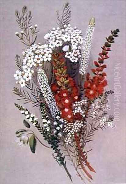 Geraldton Wax Flower and Scarlet Feather Flower Oil Painting by Lady Margaret Forest