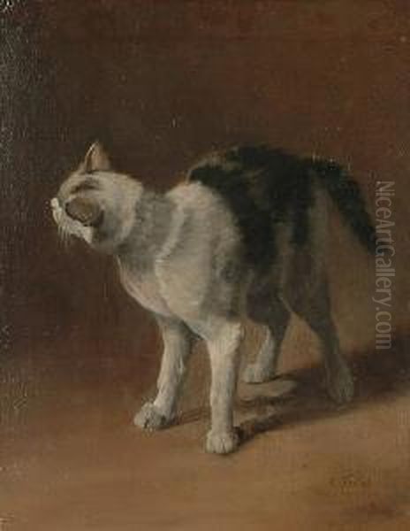 A Study Of A Black And White Cat Oil Painting by Charles Verlat