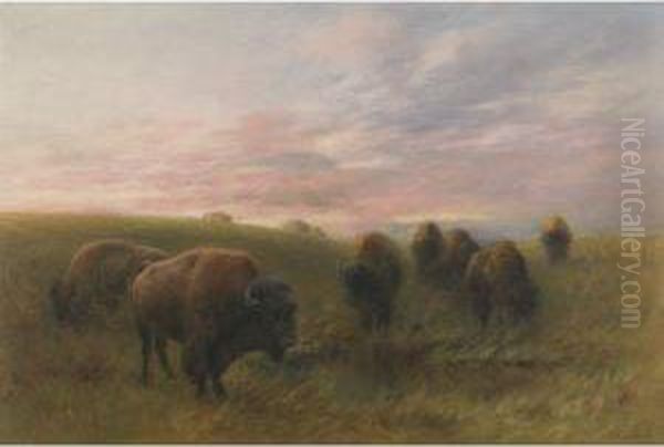 Buffalo Watering Hole Oil Painting by Frederick Arthur Verner