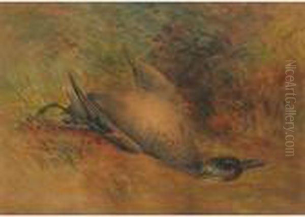 Study Of A Duck Oil Painting by Frederick Arthur Verner