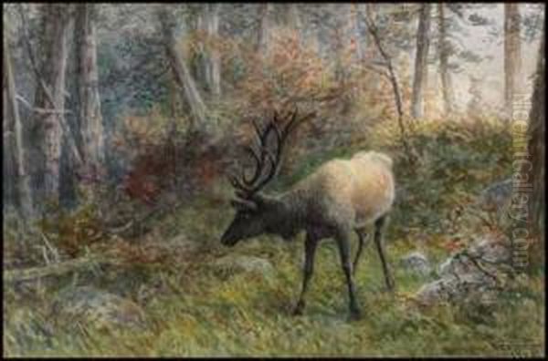 Caribou Oil Painting by Frederick Arthur Verner