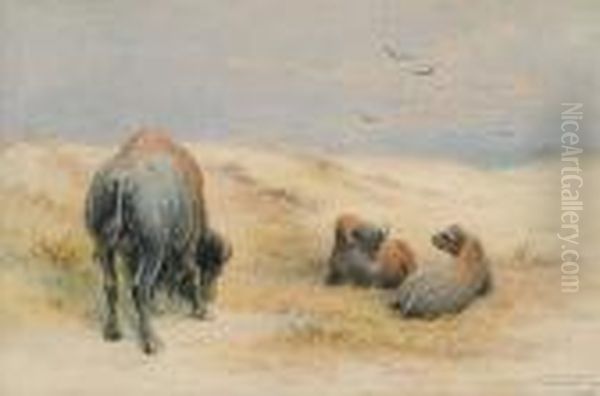 Bison Mid-day Oil Painting by Frederick Arthur Verner