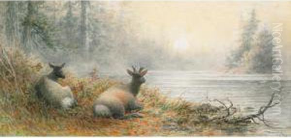 Caribou Resting Oil Painting by Frederick Arthur Verner