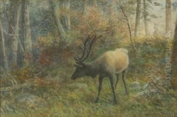 Elk In The Woods Oil Painting by Frederick Arthur Verner