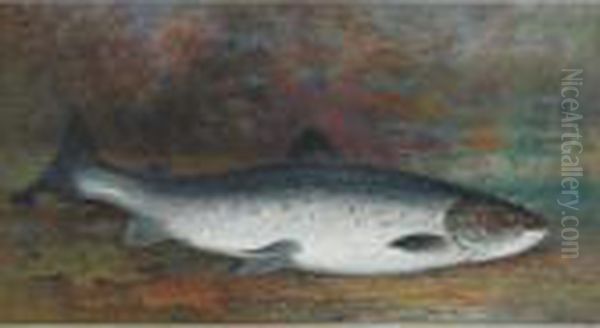 Speckled Trout Oil Painting by Frederick Arthur Verner