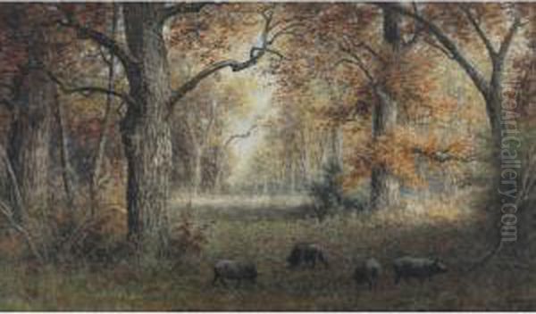 Pigs Grazing In Autumnal Woods Oil Painting by Frederick Arthur Verner