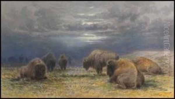 Buffalo Grazing During The Approaching Storm Oil Painting by Frederick Arthur Verner