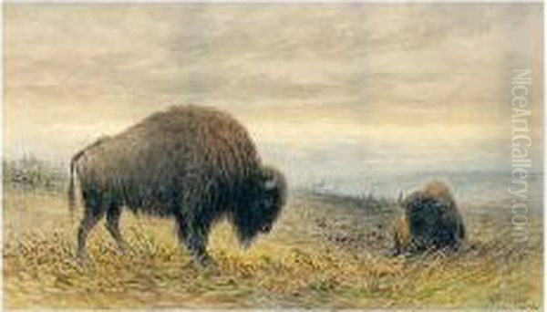 Buffaloes Oil Painting by Frederick Arthur Verner