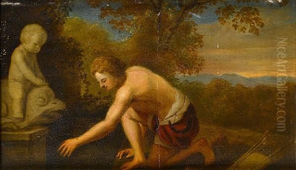 Narcissus Oil Painting by Daniel Vertangen