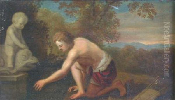 Narcissus Oil Painting by Daniel Vertangen