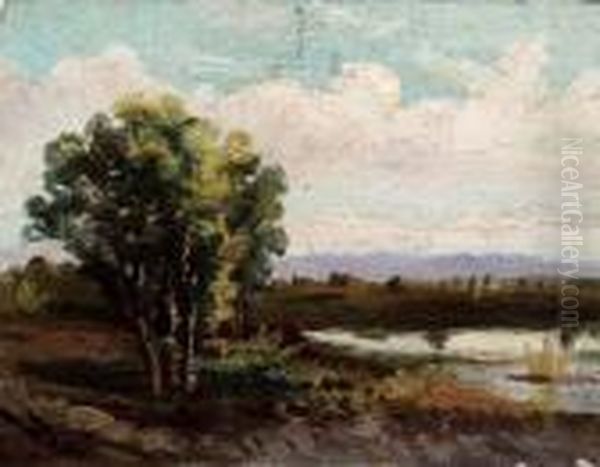 Paesaggio Con Albero Oil Painting by Achille Vertunni