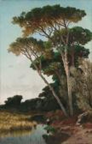 Pineta by Achille Vertunni