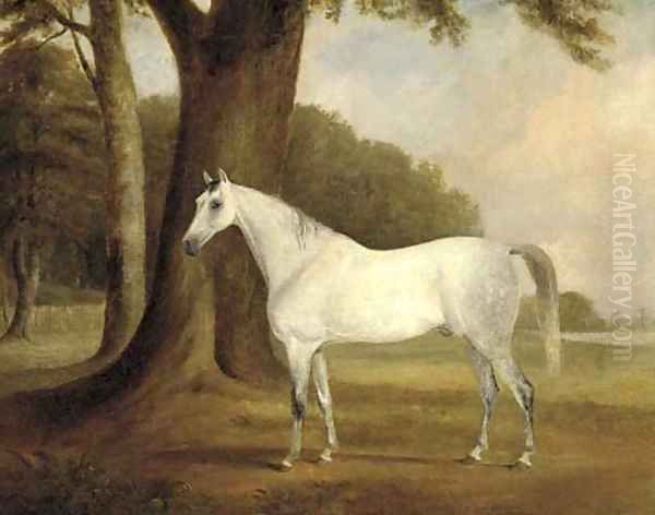 A dappled grey in a landscape Oil Painting by Claude L. Ferneley