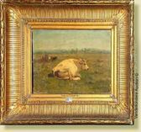 Vache Couchee Au Pre Oil Painting by Alfred Jacques Verwee