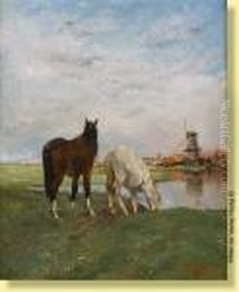 Chevaux S'abreuvant Devant Un Moulin Oil Painting by Alfred Jacques Verwee