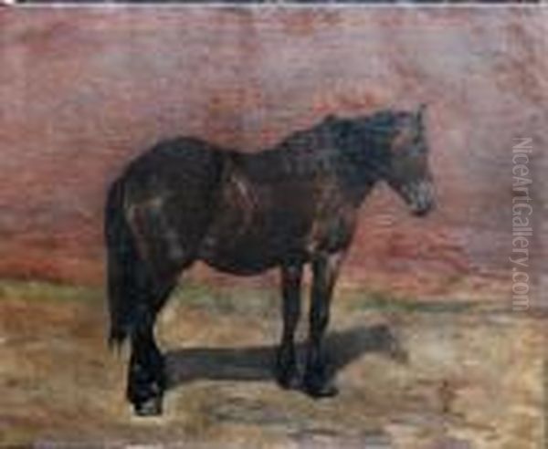 Portrait Of A Horse Oil Painting by Alfred Jacques Verwee