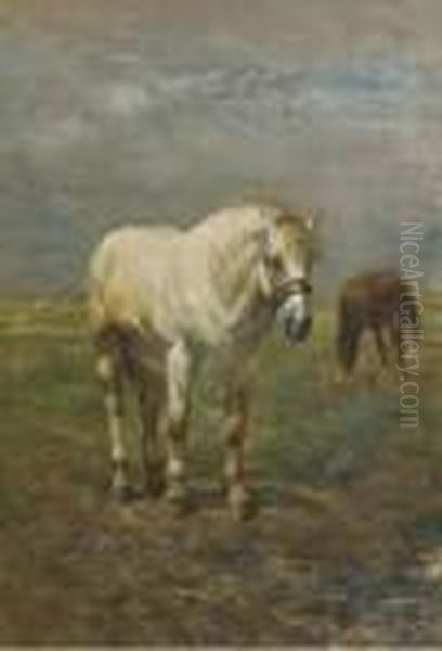 Horses In A Meadow Oil Painting by Alfred Jacques Verwee