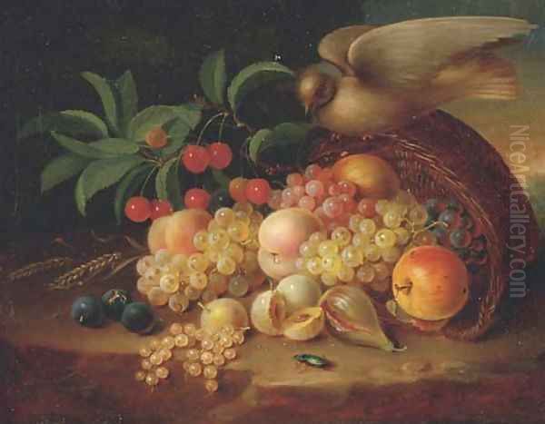 Peaches, cherries, grapes, an apple, plums and other fruit and a dove perched on a wicker basket Oil Painting by George Forster