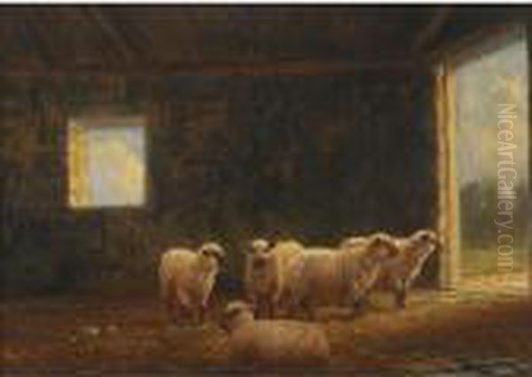 Sheep In A Barn Oil Painting by Henry Harold Vickers