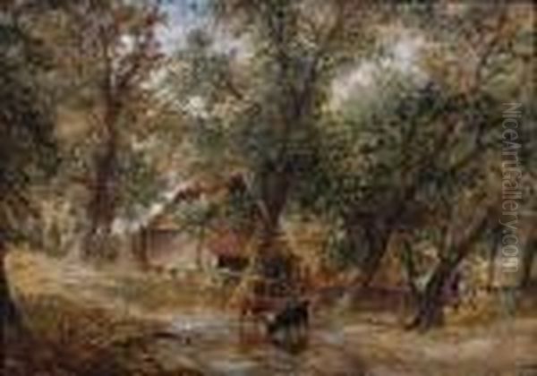 Cattle Watering At A Woodland Pool Oil Painting by Alfred Vickers