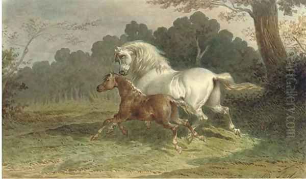 A grey mare galloping through a meadow with her foal at her side Oil Painting by Theodore Fort