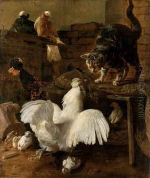 Zuffa Nel Cortile Tra Gatto E Gallina Oil Painting by Jacomo (or Victor, Jacobus) Victors