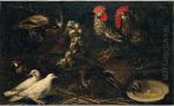 Still Life Of Cockerels, White 
Doves, A Jay, Grey And Red-legged Partridge And A Cat, Together With A 
Wicker Basket Of Garlic Oil Painting by Jacomo (or Victor, Jacobus) Victors