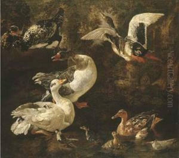 Geese, Ducks And Ducklings In A Landscape With A Pond Oil Painting by Jacomo (or Victor, Jacobus) Victors