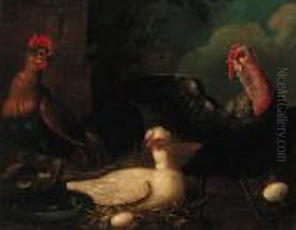 Poultry In A Farmyard Oil Painting by Jacomo (or Victor, Jacobus) Victors