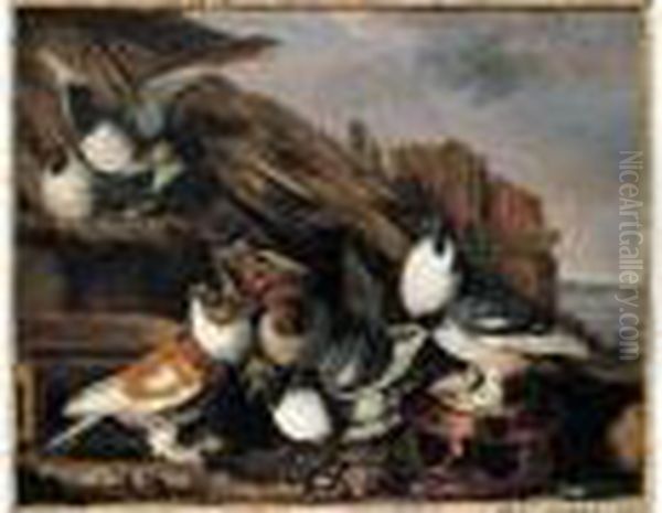 Pigeons S'ebattant Pres D'une Mangeoire De Terre Vernissee Oil Painting by Jacomo (or Victor, Jacobus) Victors