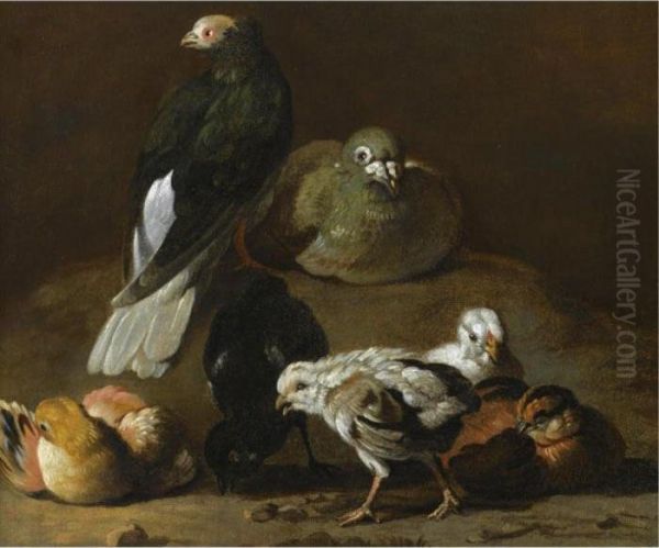 A Still Life With A Couple Of Pigeons Nesting And Preening Together With Four Chicks Oil Painting by Jan Victors