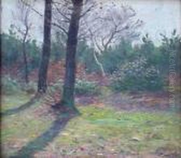 Spring Landscape Oil Painting by Emmanuel Vierin