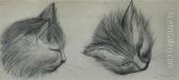 Studies Of A Cat's Head Oil Painting by Auguste Vimar