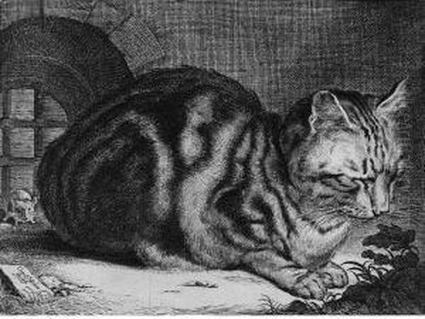 The Large Cat (dutuit 46; Holl. 42) Oil Painting by Cornelius de Visscher