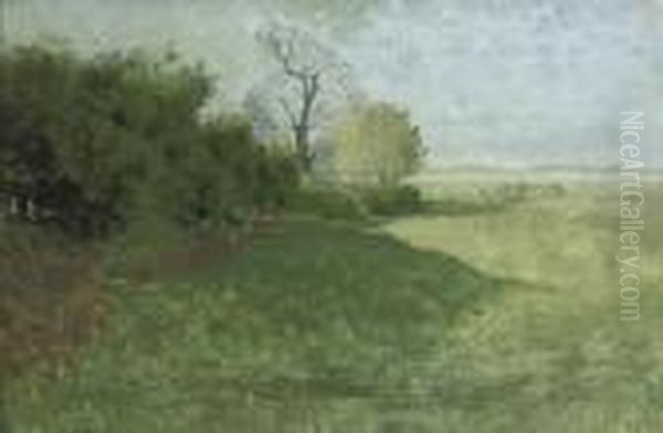 Trees In A Landscape, Hoenwaard With The Ijssel Beyond Oil Painting by Floris Verster