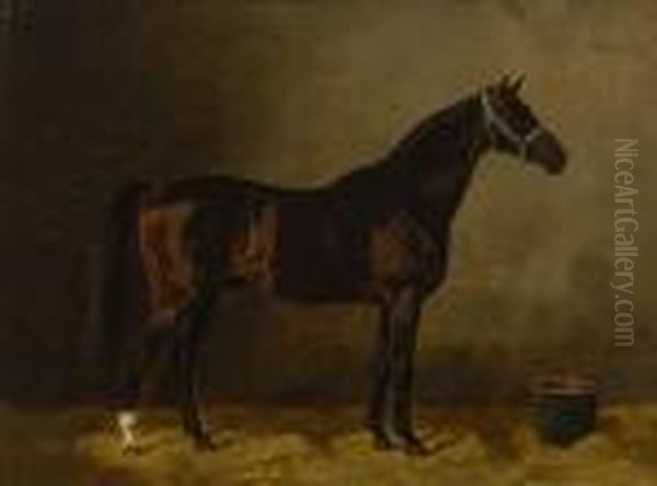 Pferd Im Stall Oil Painting by Emil Volkers