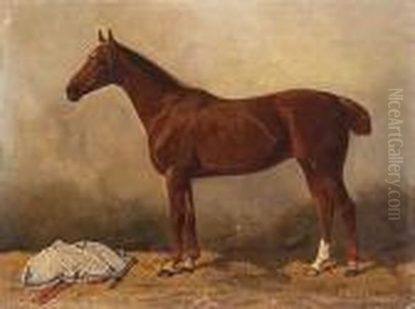 Picture Of A Horse Oil Painting by Emil Volkers