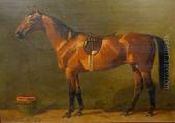 Gesattelter Brauner Im Stall Oil Painting by Emil Volkers