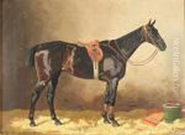 A Saddled Black Horse In A Stable Oil Painting by Emil Volkers