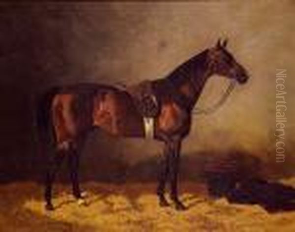 Cheval Selle A L'ecurie, 1892. Oil Painting by Emil Volkers