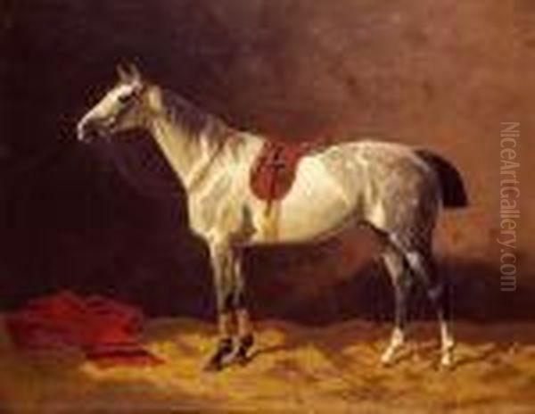 Cheval Gris Pommele A L'ecurie, 1892. Oil Painting by Emil Volkers