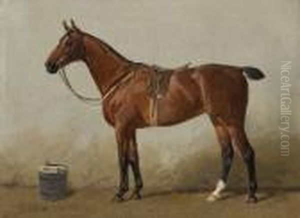 Gesatteltes Reitpferd. Oil Painting by Emil Volkers