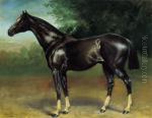 Racing Horse Oil Painting by Julius von Blaas