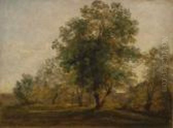 Studie Im Englischen Garten. Oil Painting by Georg Maximilian Johann Von Dillis