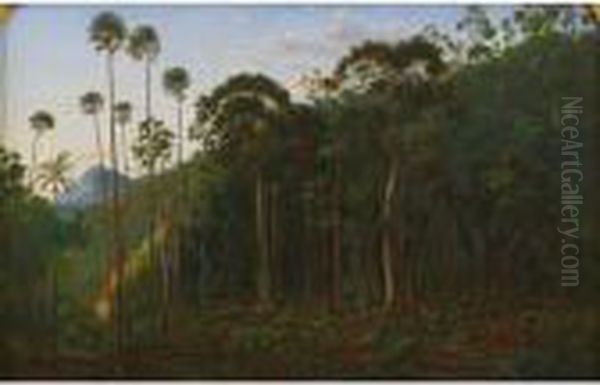 Cabbage Trees Near The Shoalhaven River, N.s.w. Oil Painting by Eugene von Guerard