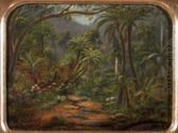 Fern Tree Gully In The Dandenong Ranges Oil Painting by Eugene von Guerard