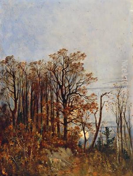 Herbstmotiv, N.osterreich Oil Painting by Theodor von Hormann