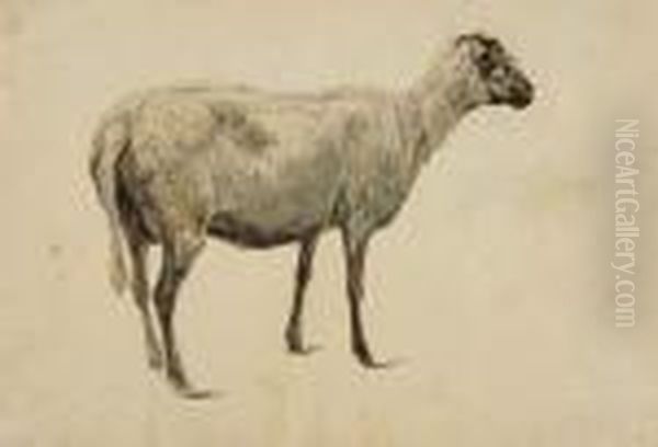 Stehendes Schaf. Oil Painting by Wilhelm Alexander W. Von Kobell