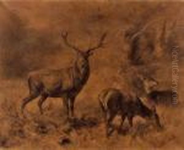 Hirsche Und Rehe In Einer Waldlichtung Oil Painting by Franz Xavier Von Pausinger